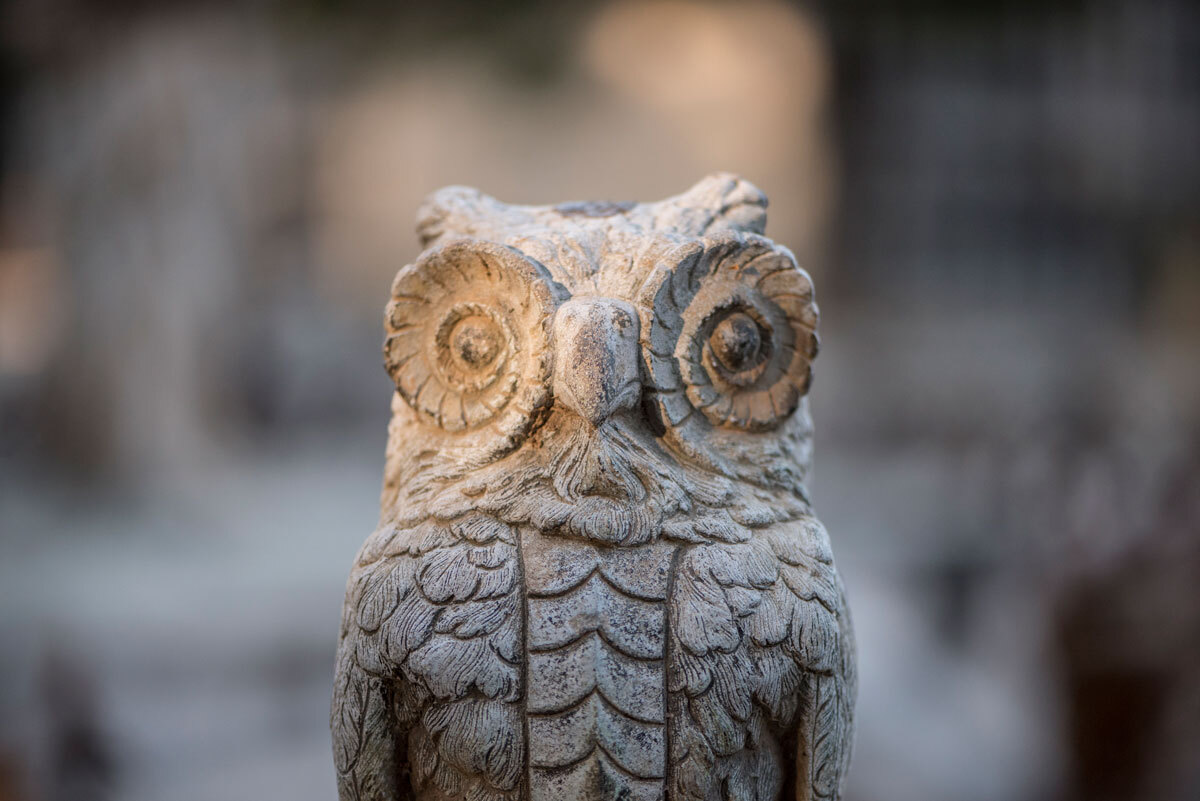 Escultura d'un mussol al cementiri.