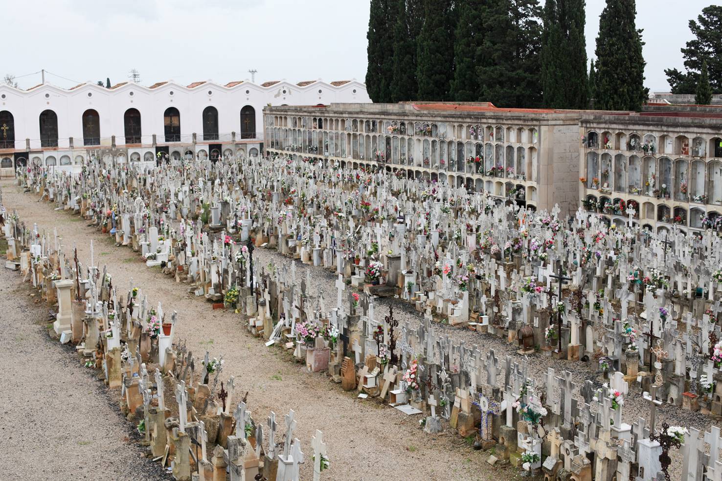 El Cementiri General de Reus, reconegut millor cementiri de l'Estat al Concurso Cementerios de España 2023 